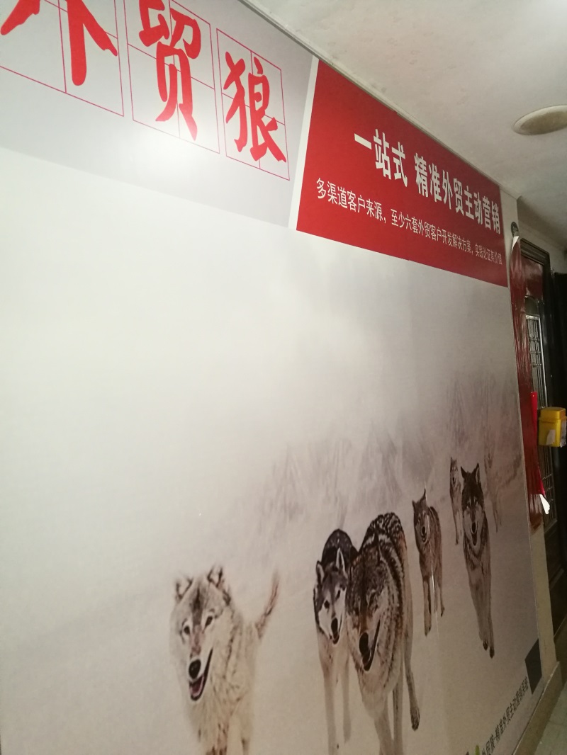 狼的印迹
